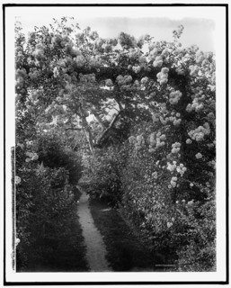 Old fashioned gardens, Lawson estate, Dreamwold, Egypt, Mass., between 1900 and 1920. Creator: Unknown.