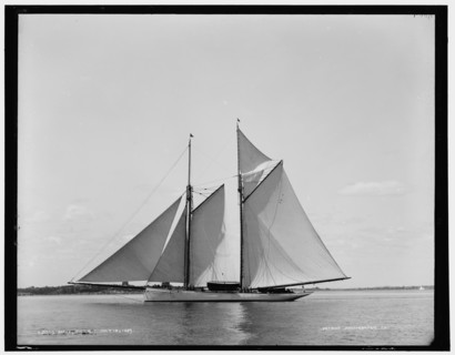 Mayflower, 1889 July 15. Creator: Unknown.