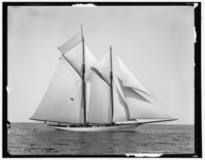 Merlin, 1890 July 10. Creator: Unknown.