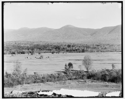 Presidential Range and Crawford Notch from golf links, White Mountains, N.H., between 1890 and 1901. Creator: Unknown.
