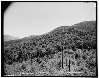 Mt. Webster, Mt. Avalon, and Mt. Tom, White Mountains, between 1890 and 1901. Creator: Unknown.