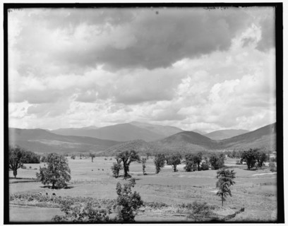 Mt. Washington from Intervale, White Mountains, between 1890 and 1901. Creator: Unknown.
