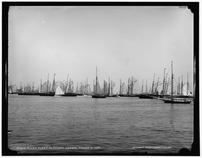 N.Y.Y.C. fleet, Newport harbor, 1887 Aug 5. Creator: Unknown.