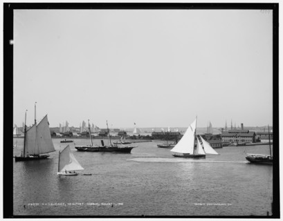 N.Y.Y.C. fleet, Newport harbor, 1888 Aug 11. Creator: Unknown.
