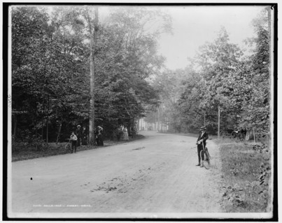 Belle Isle Park, Forest Drive, between 1880 and 1899. Creator: Unknown.