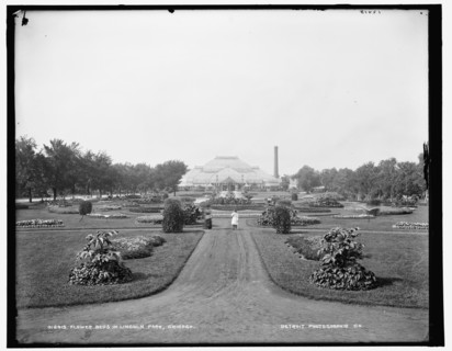 Flower beds in Lincoln Park, Chicago, 1900. Creator: Unknown.