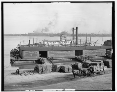 The Levee, Lousiville [sic], Ky., c.between 1900 and 1906. Creator: Unknown.