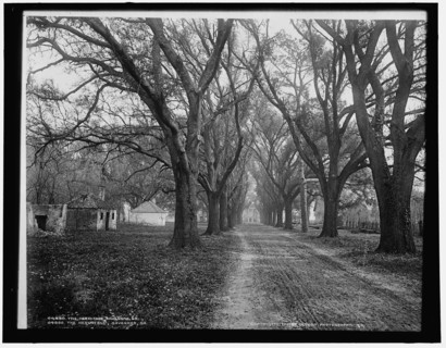 The Hermitage, Savannah, Ga., c1900. Creator: Unknown.
