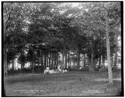 In the grove at Poland Spring Hotel, South Poland, Maine, c1900. Creator: Unknown.