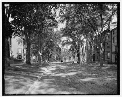 State Street, looking toward Longfellow monument, Portland, Me., between 1900 and 1915. Creator: Unknown.