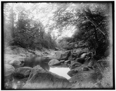 Glen Ellis, Jackson, N.H., between 1890 and 1901. Creator: Unknown.