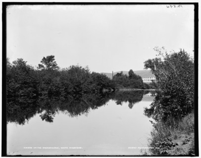 On the Ammonoosuc, White Mountains, c1900. Creator: Unknown.