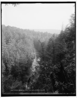 Up the Analomink from high rock, Henryville, Pa., between 1890 and 1901. Creator: Unknown.