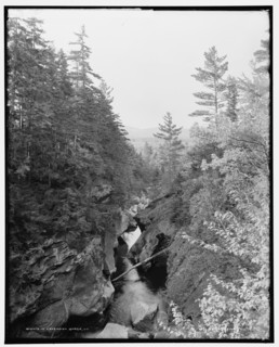 In Cavendish gorge, Vt., between 1900 and 1906. Creator: Unknown.