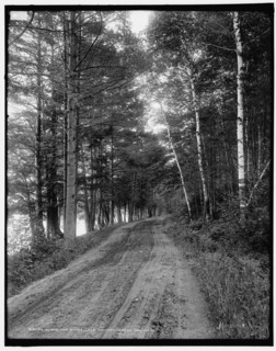 Along the shore, Lake Dunmore, Green Mountains, between 1900 and 1906. Creator: Unknown.
