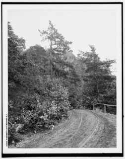 A Driveway, Lake Mohonk, N.Y., (1902?). Creator: Unknown.