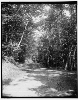 Leslie Ave., Mackinac Isl'd, between 1890 and 1901. Creator: Unknown.