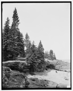 Along the shore path, Bar Harbor, Mt. i.e. Mount Desert Island, Me., c1900. Creator: Unknown.