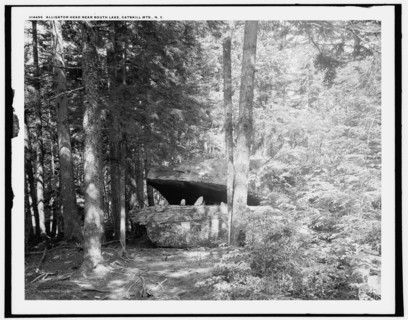 Alligator Head near South Lake, Catskill Mts., N.Y., c1902. Creator: Unknown.