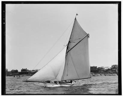 Saracen, between 1888 and 1899. Creator: Unknown.