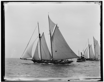 Sea Fox, 1889 July 15. Creator: Unknown.