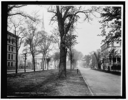 Oglethorpe Avenue, Savannah, Ga., c1900. Creator: Unknown.