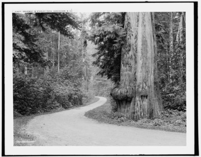 Driveway in Stanley Park, Vancouver, B.C., c1902. Creator: Unknown.