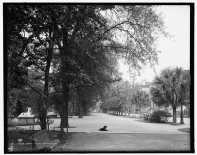 Gaston Street, Savannah, Ga., c1907. Creator: Unknown.