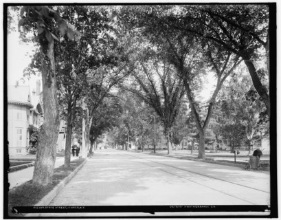 State Street, Ithaca, N.Y., between 1900 and 1906. Creator: Unknown.