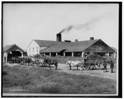 Post's sugar mill, La., c.between 1900 and 1905. Creator: Unknown.