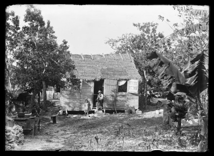 Thatched building and banana plant, possibly Nassau, Bahamas, between 1900 and 1915. Creator: Unknown.