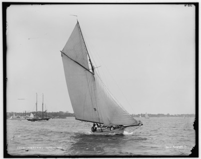 Tigress, 1892 June 11. Creator: Unknown.