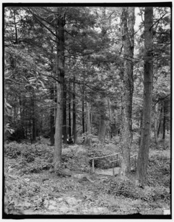 Path thro' the woods, Mt. Pocono, Pa., c1905. Creator: Unknown.