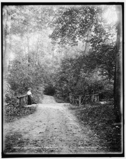 In the woods, Palmer Park, Detroit, between 1890 and 1901. Creator: Unknown.