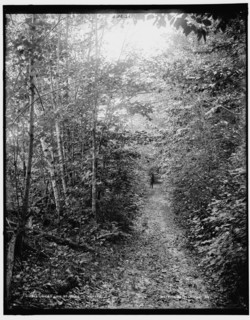 Lovers lane at Ne-ah-ta-wan-ta, between 1890 and 1901. Creator: Unknown.