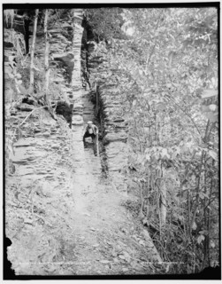 The Trail, Taughannock Falls, N.Y., between 1890 and 1901. Creator: Unknown.