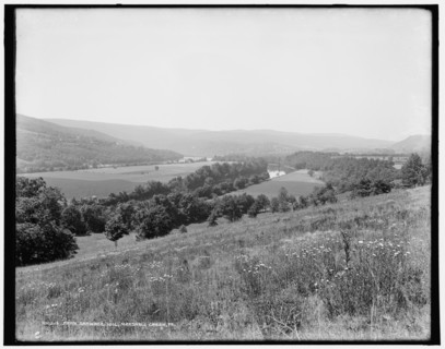 From Shawnee Hill, Marshall Creek, Pa., between 1890 and 1901. Creator: Unknown.