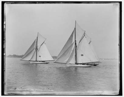 Verena, Chiquita, and Minerva, 1889 July 13. Creator: Unknown.