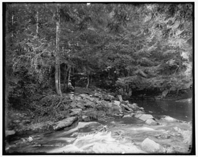 Paradise Falls near Henryville, Pa., c1900. Creator: Unknown.