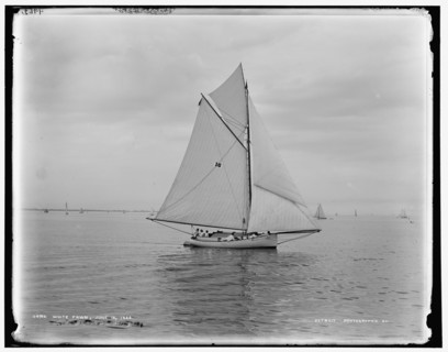White Fawn, 1888 June 18. Creator: Unknown.