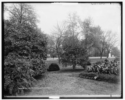 The White House, Washington, c1901. Creator: Unknown.