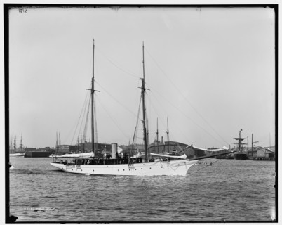 Wild Duck, between 1891 and 1899. Creator: Unknown.