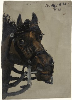 Head of a horse, 1881.  Creator: Richard Roland Holst.