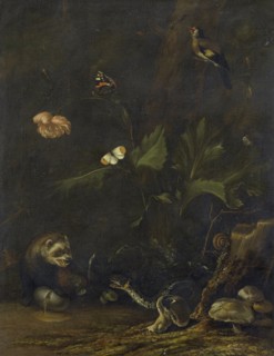 Animals and Plants, 1650-1677. Creator: Anthonie van Borssom.