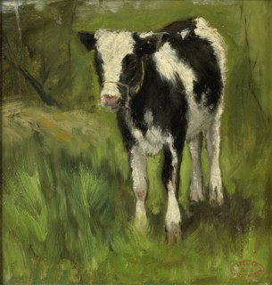 Calf, spotted black and white, c.1873-c.1903. Creator: George Poggenbeek.