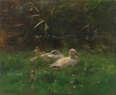 Eenden, c.1880-c.1904. Creator: Willem Maris.