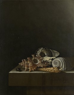 Shells on a Stone Plinth, 1698. Creator: Adriaen Coorte.
