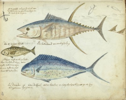 Sea fishing, 1778-1779. Creator: Jan Brandes.