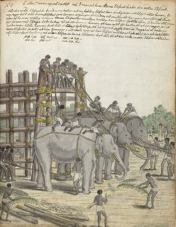 A Bound Elephant being led from the Last Section of the trap, the Prison Corral, 1785. Creator: Jan Brandes.
