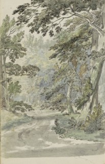 Forest path, 1783. Creator: Johannes Huibert Prins.